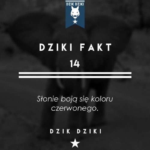 11372233_1614369522175940_2105407766_n