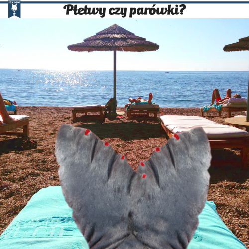 parowki