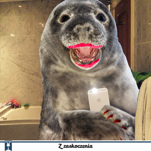 Naprawdę zastanawiam się, gdzie miałem oczy wypuszczając takie coś do internetu.